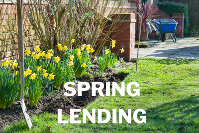 Lending Options for Spring
